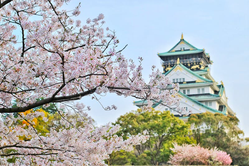 Japan photography adventure